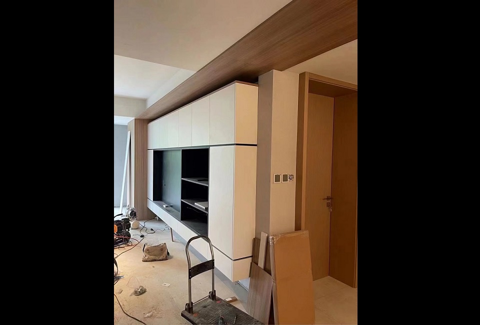 Living & Dining Room Real Shot Photos - OLEE Custom Real Installation